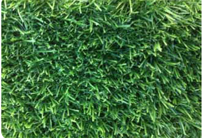 דשא סינטטי אפרודיטה